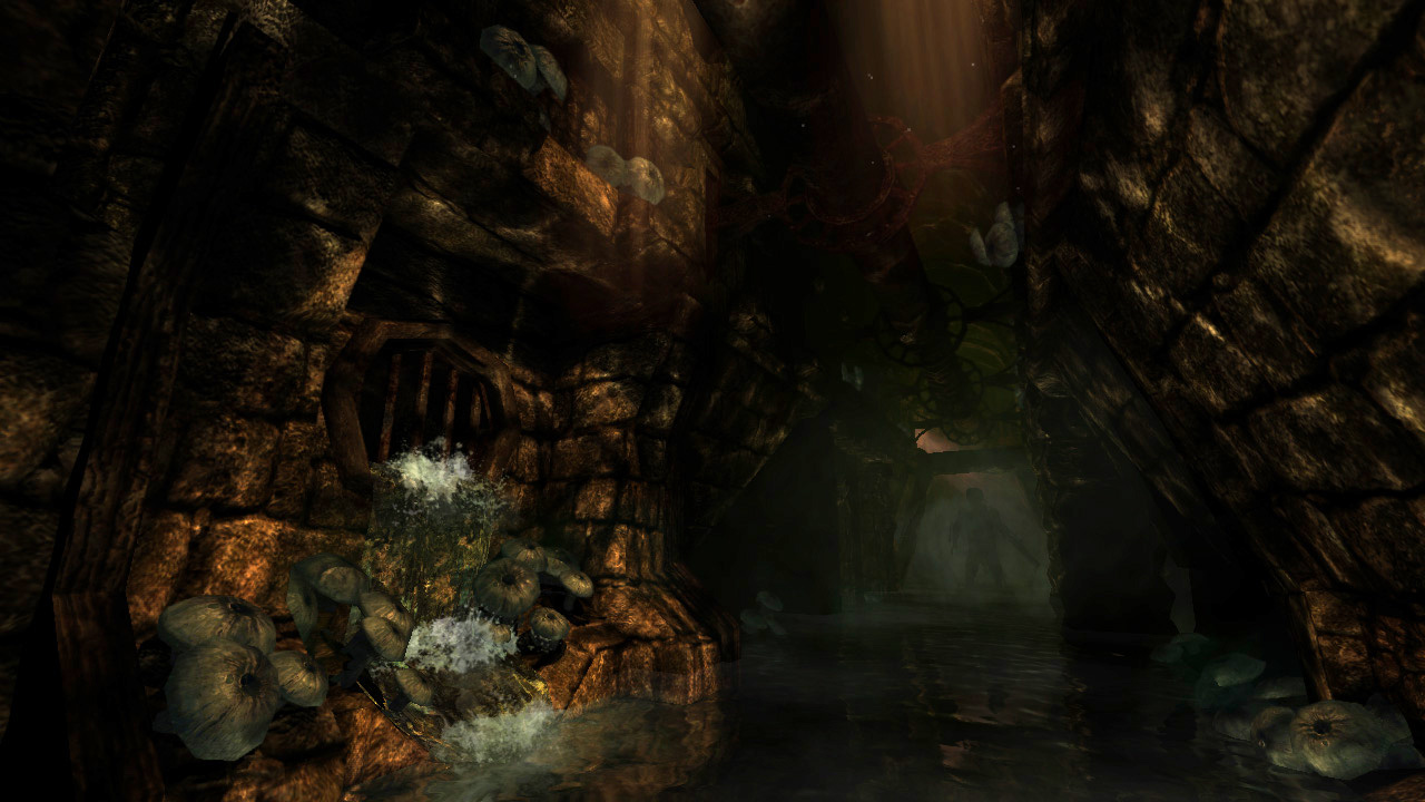 Скриншот Амнезия: Призрак прошлого / Amnesia: The Dark Descent (2010) PC