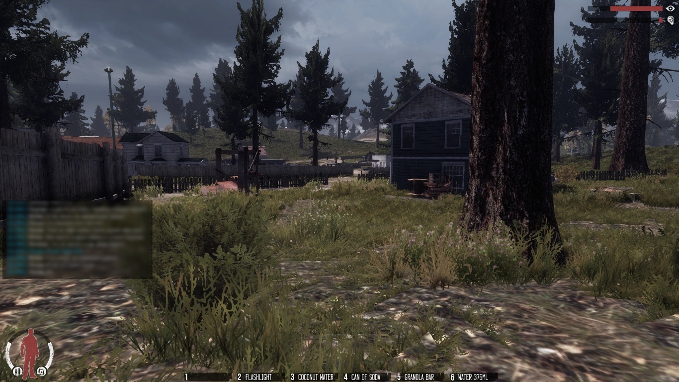 Скриншот The War Z (2012) PC
