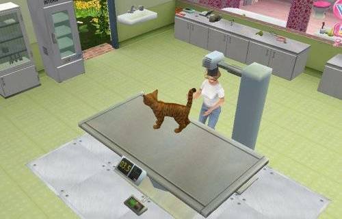 Скриншот Animal Hospital (2006) PC
