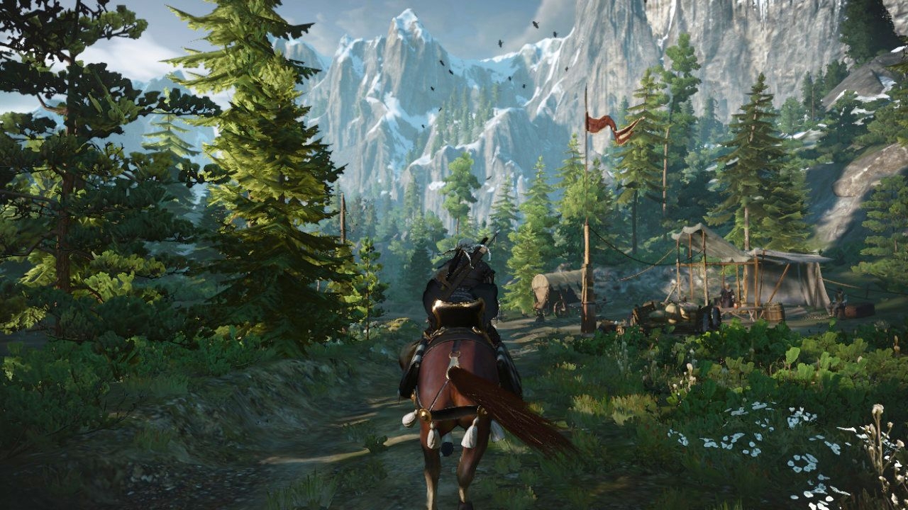 The witcher 3 pc edition фото 67