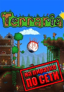 Terraria on the net on a pirate