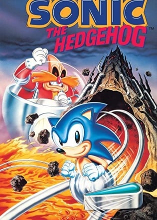 Sonic the Hedgerhog Classic