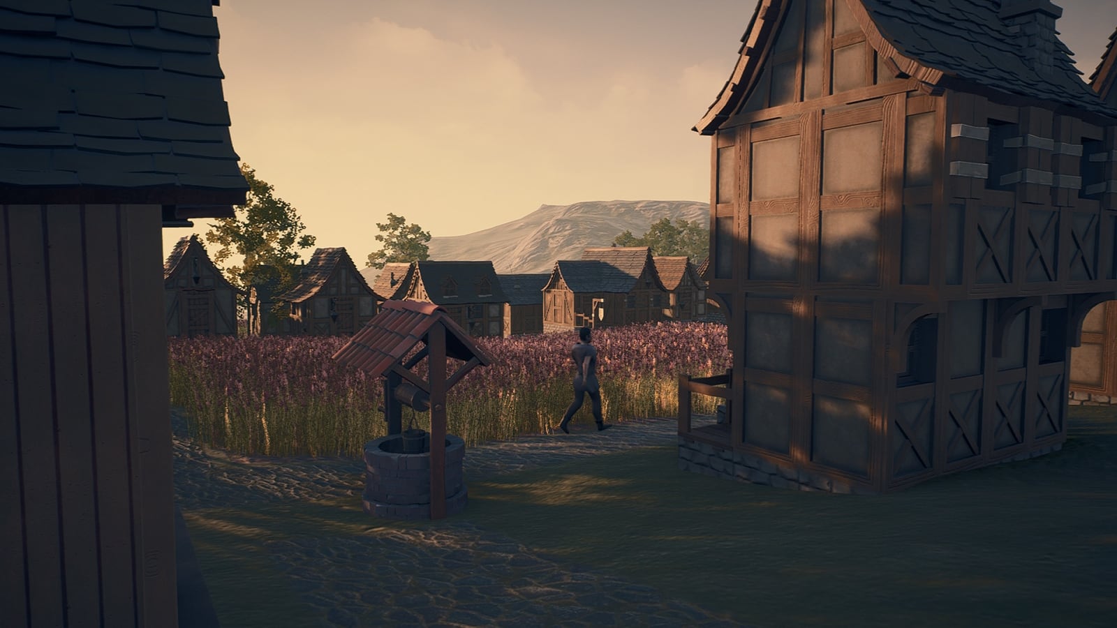 Скриншот New Home: Medieval Village