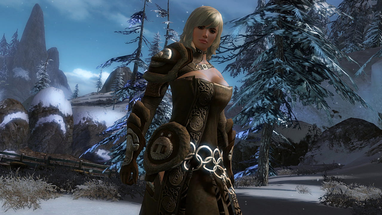 Скриншот Guild Wars 2 (2012) PC